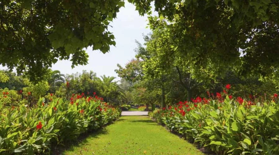 Saramsa Garden | itstravelzone 