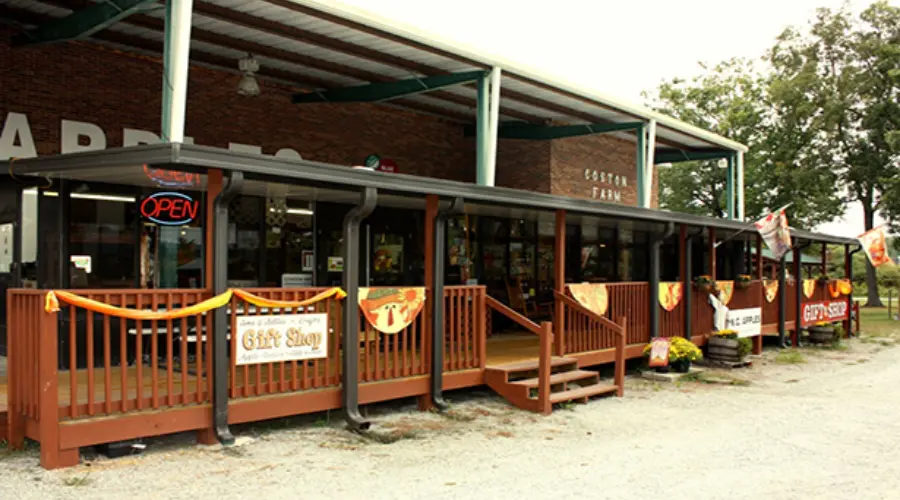 Apple Picking in North Carolina