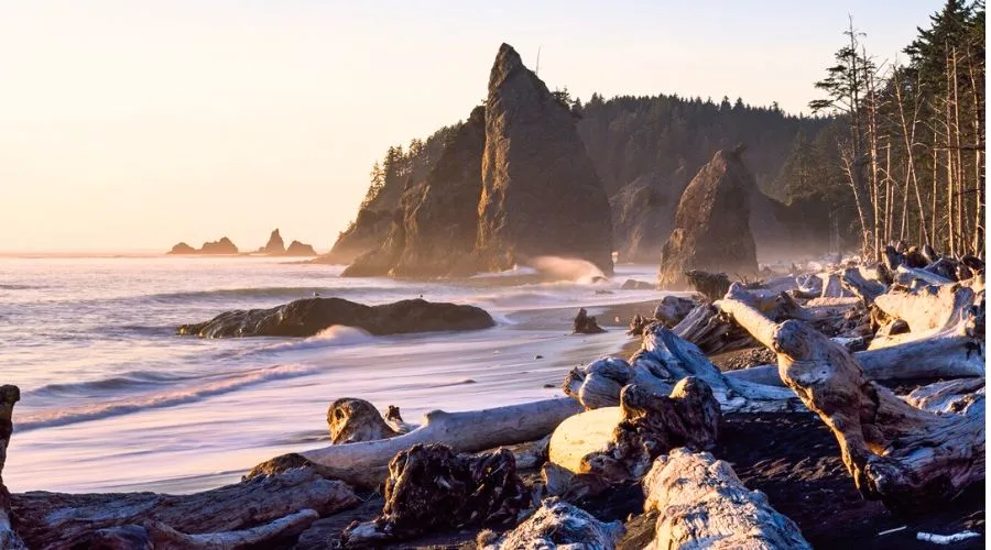 10 Top Best Beaches in Washington 2024