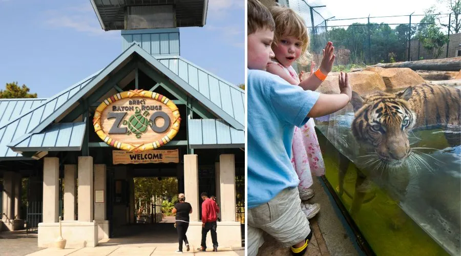 Baton Rouge Zoo 