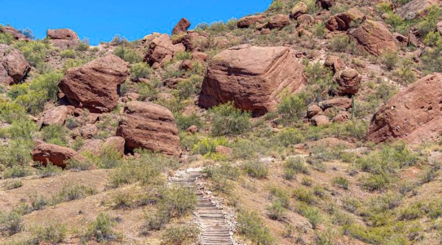 10 Best Hikes in Phoenix for 2024: A Journey of Discover
