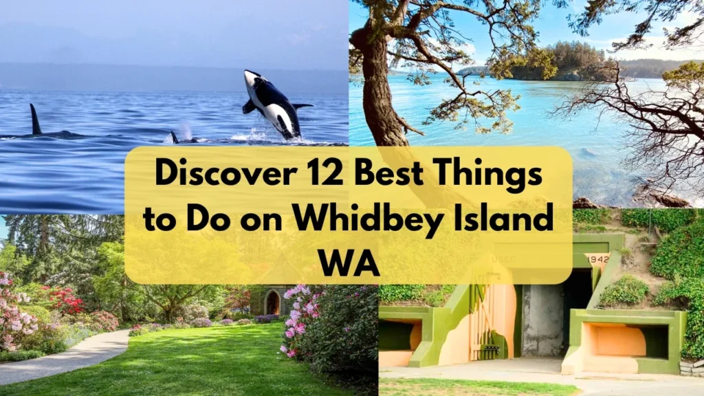 Things to Do on Whidbey Island
