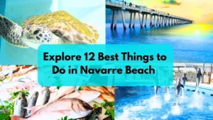 Things to Do in Navarre Beach