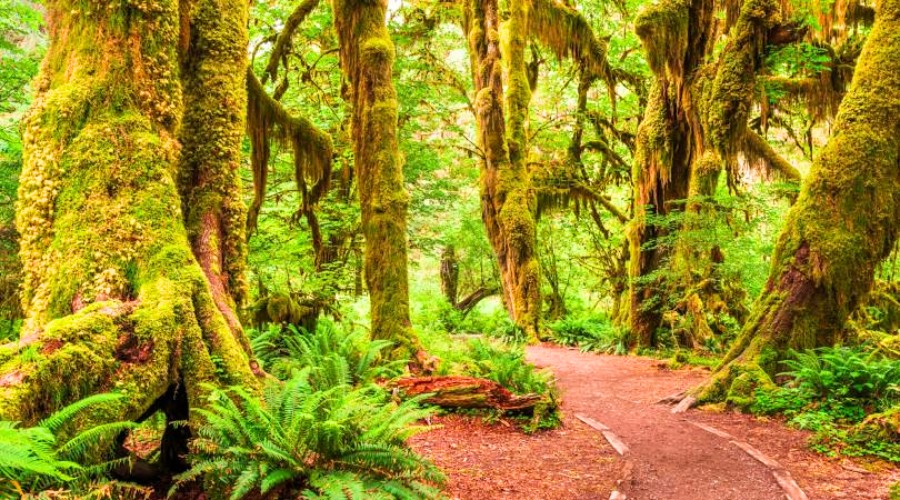 10 Most Beautiful National Park in the USA